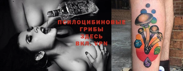 не бодяженный Абаза