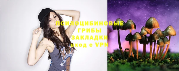 шишки Абдулино