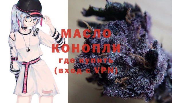 индика Абинск