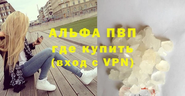 индика Абинск
