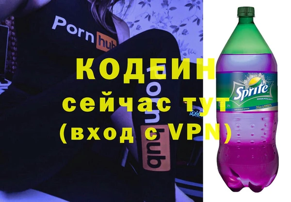 индика Абинск